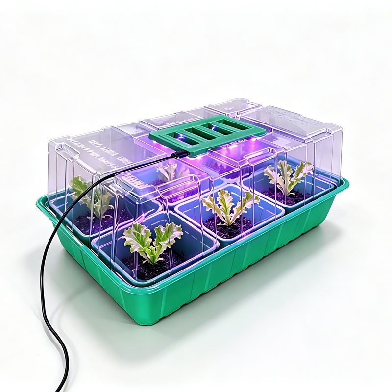 六格育苗种菜一体盆